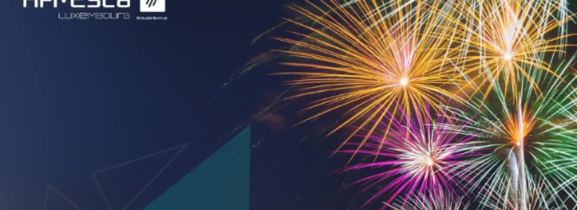 année financière 2024